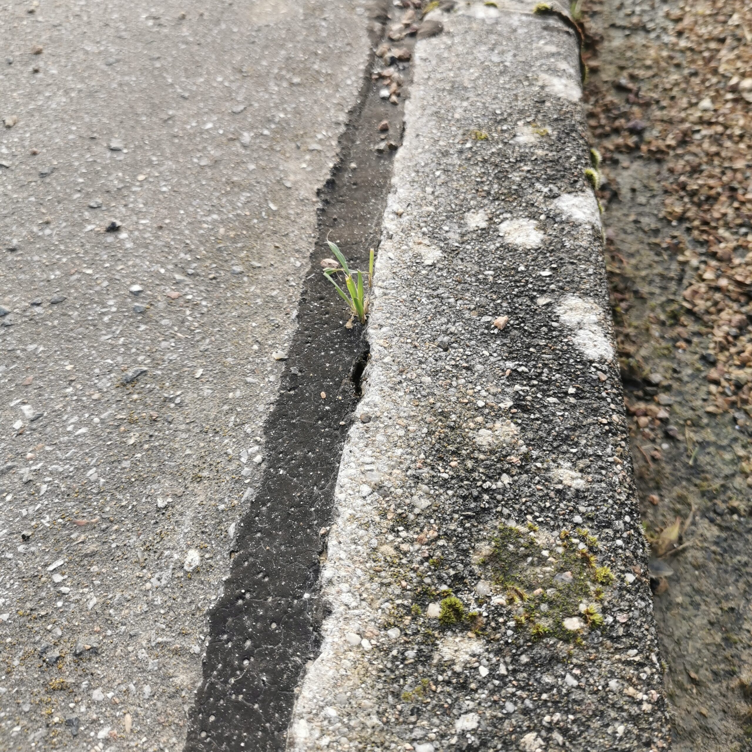 Bordure de trottoir avec application du mastic bitumineux